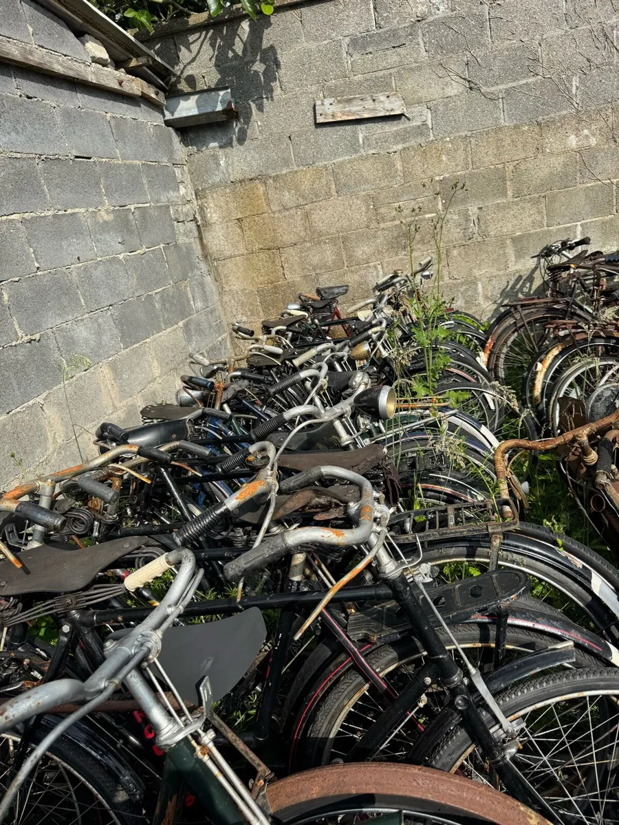 Cycles - Image 1