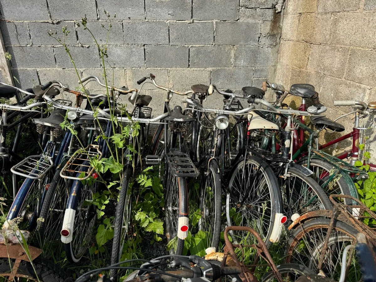 Cycles - Image 2