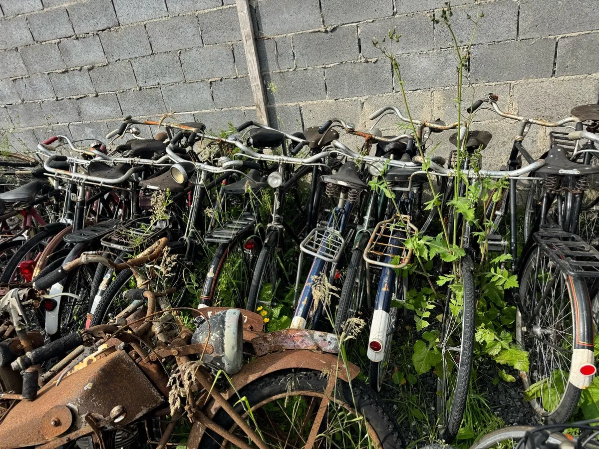 Cycles - Image 3