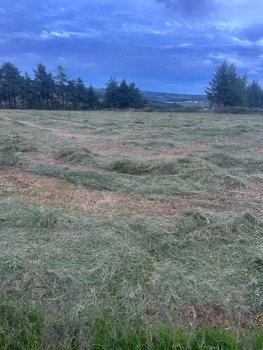 Hay bales