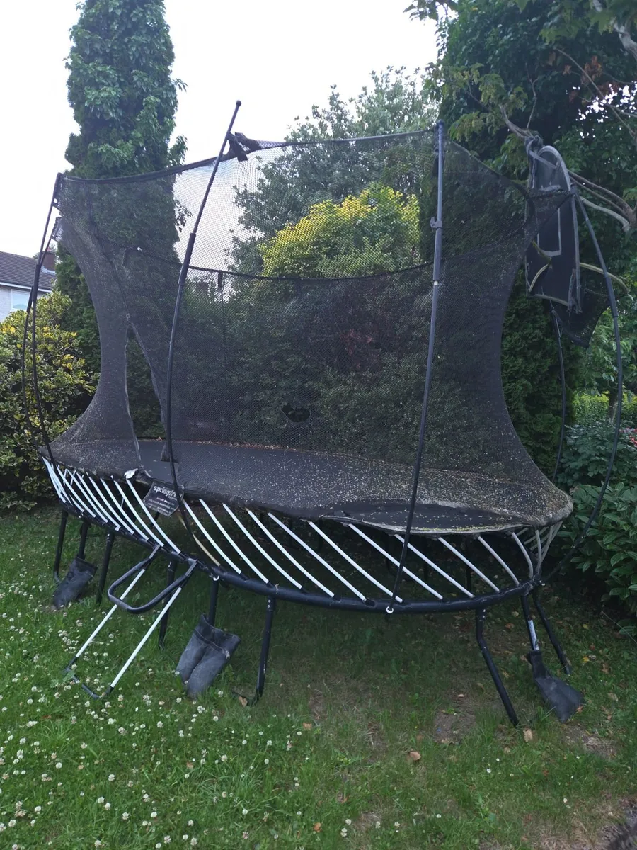 Trampoline - Image 3