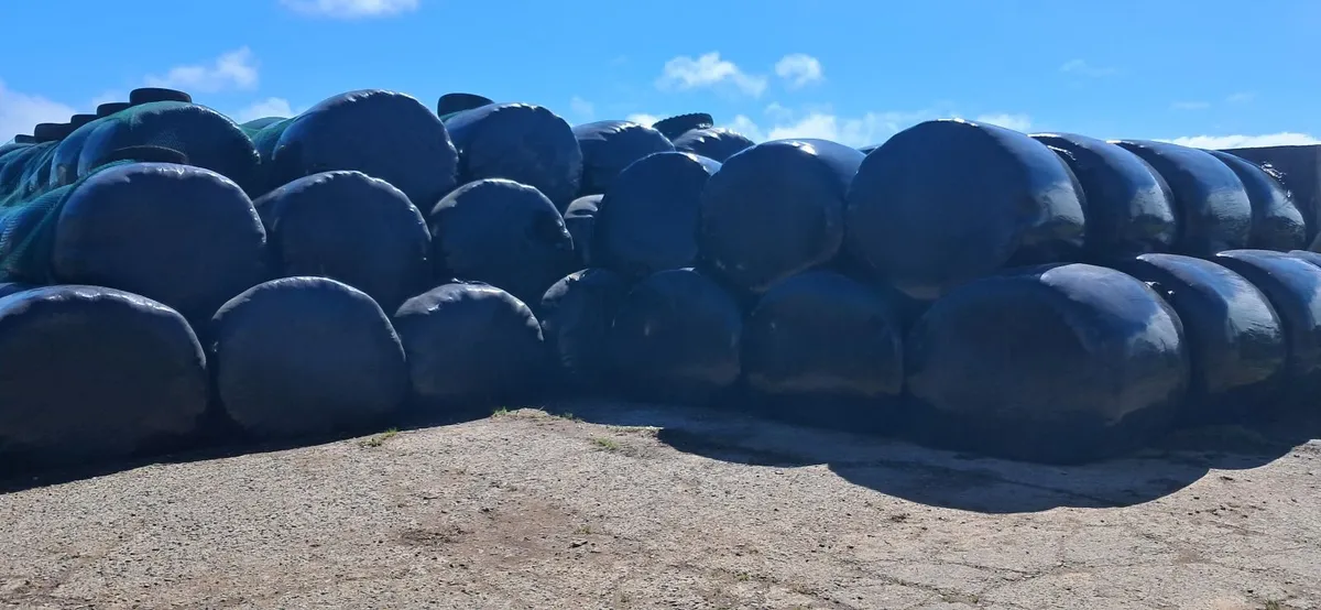 Bales silage - Image 2