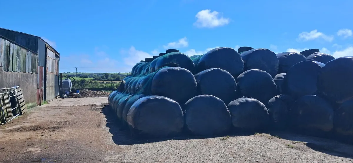 Bales silage - Image 1