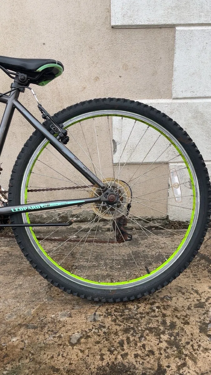 Bicycle - Image 3