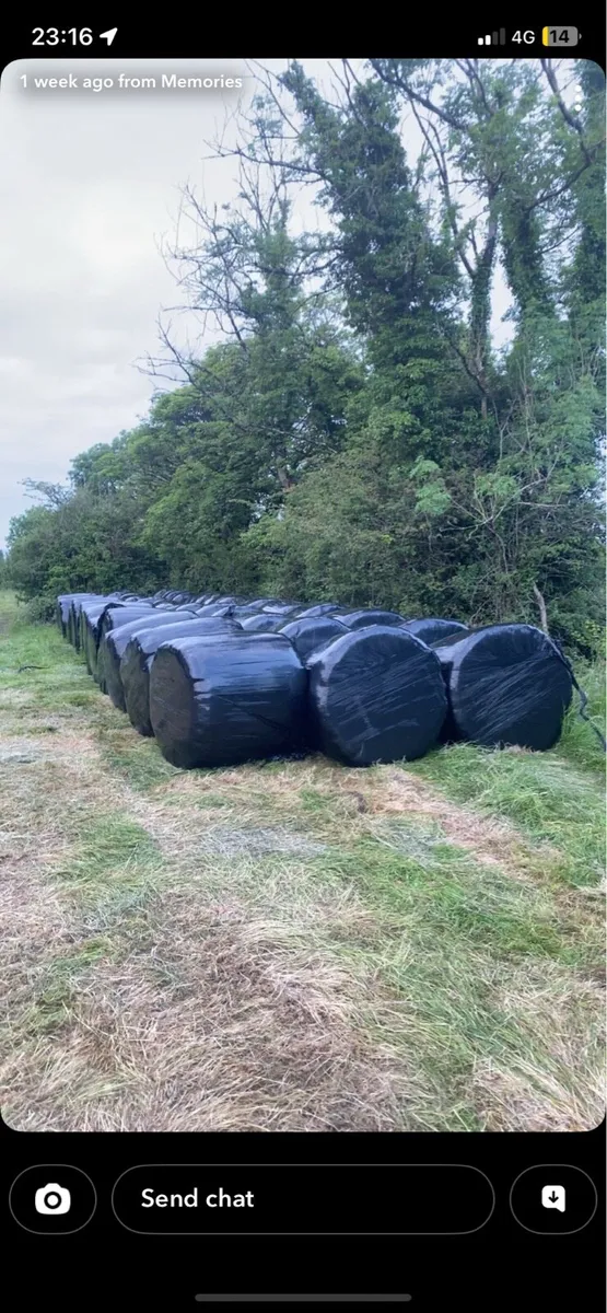 Organic Silage - Image 2