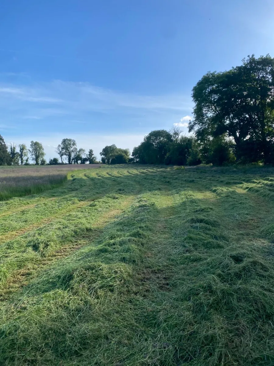 Organic Silage - Image 1