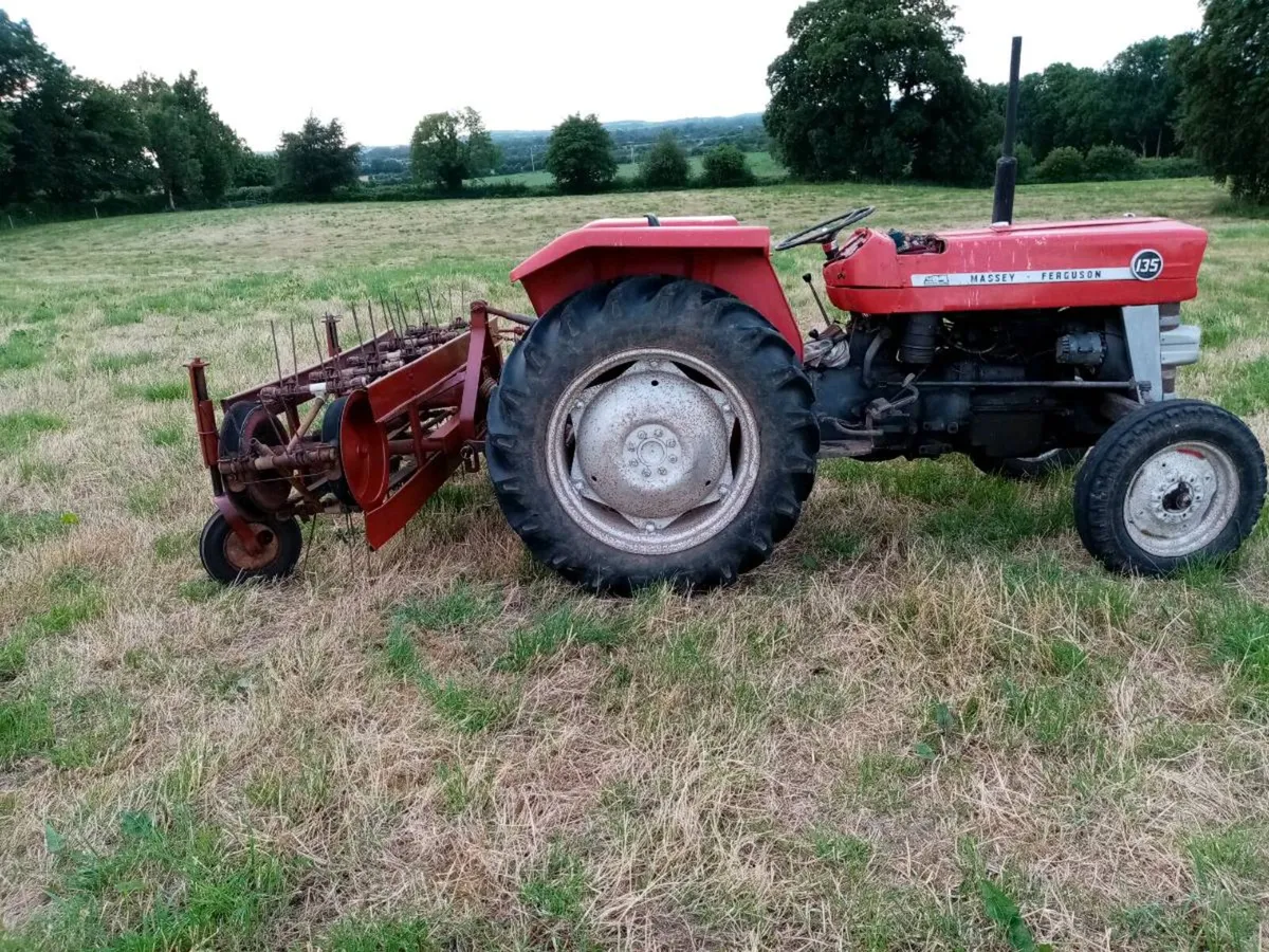 Haymaster Hay Turner - Image 1