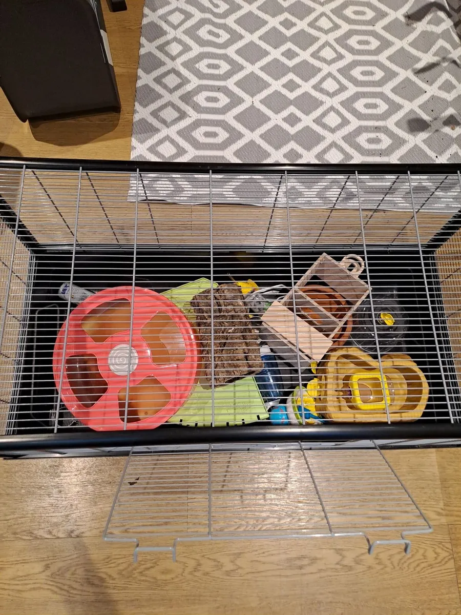 Hamster Cage with Accessories - Image 3