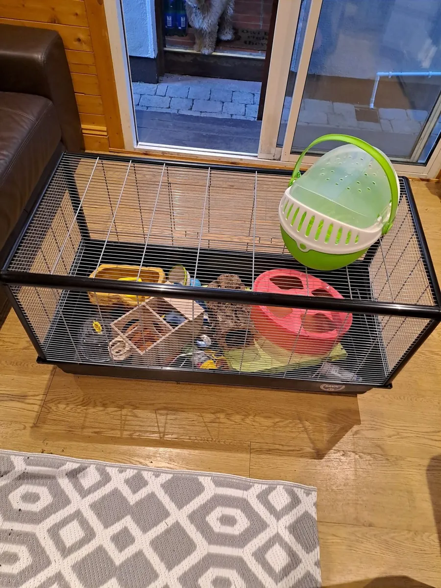 Hamster Cage with Accessories - Image 4