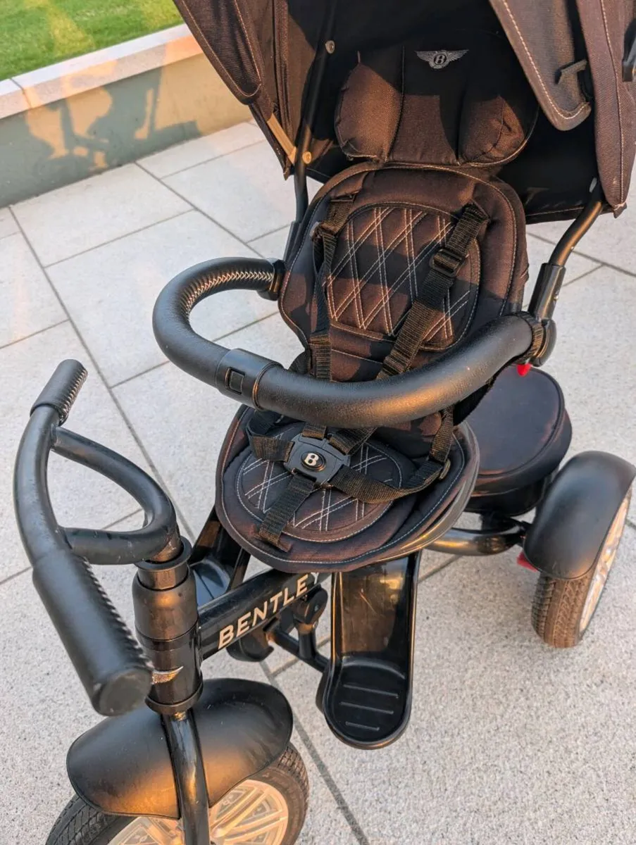 Bentley Childs Push Trike - Image 4