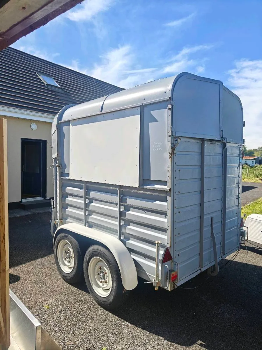 Catering Rice Horse box - New Electrics - Image 3