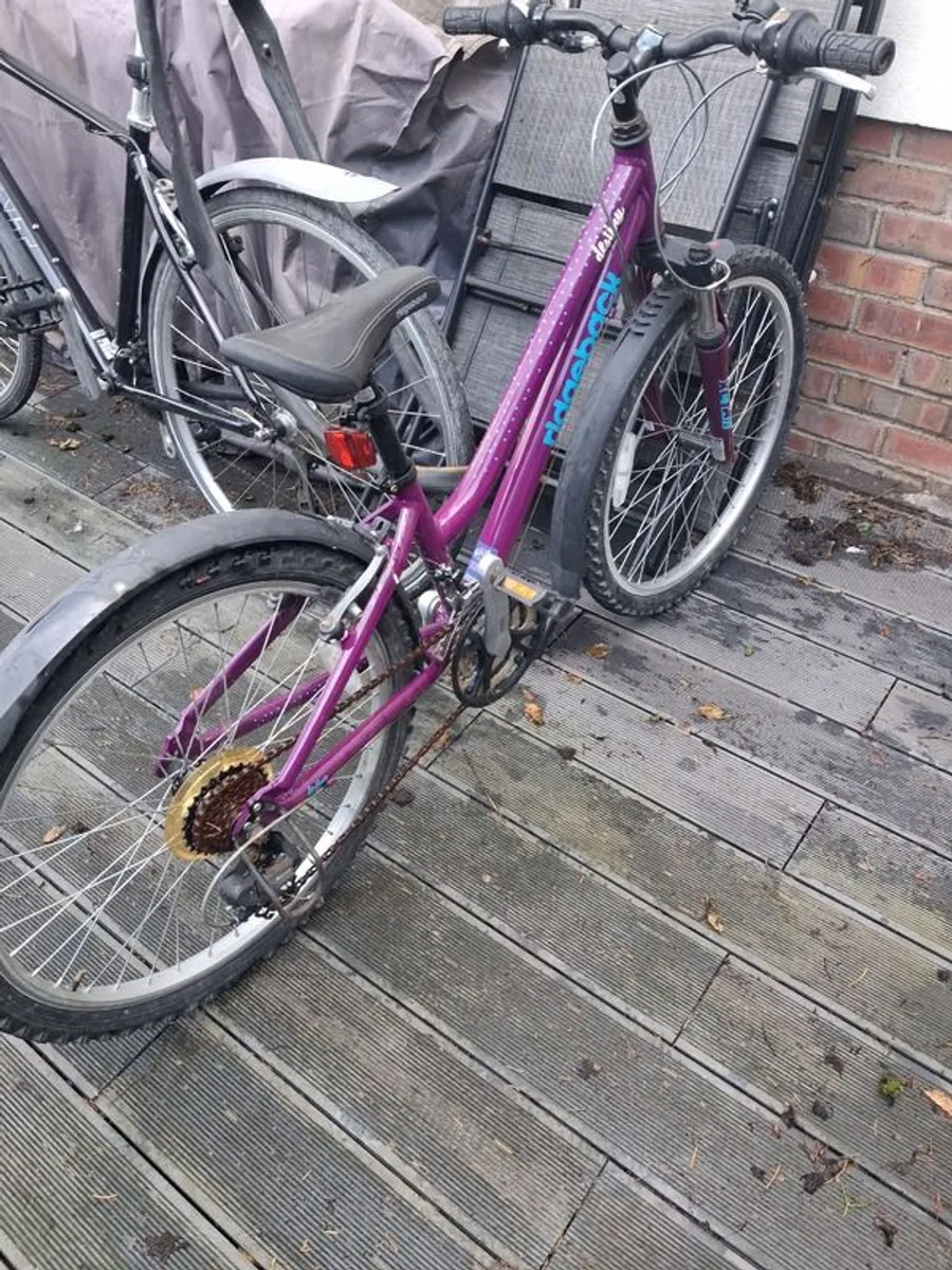 Girls bike - Image 2