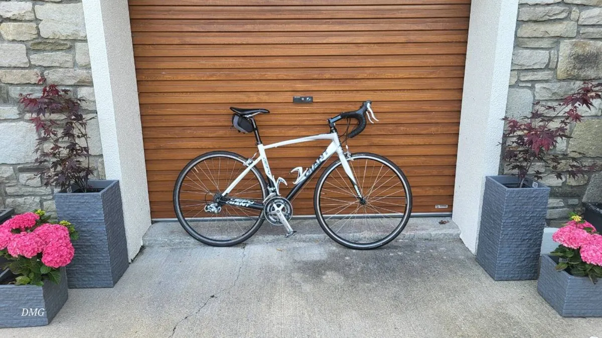 Trek procaliber carbon,  yt jeffsy al and giant de - Image 3