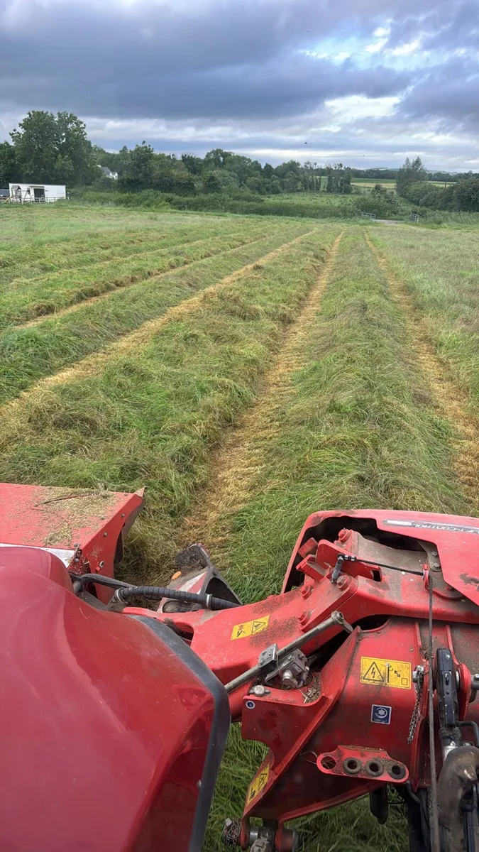 Haylage - Image 4
