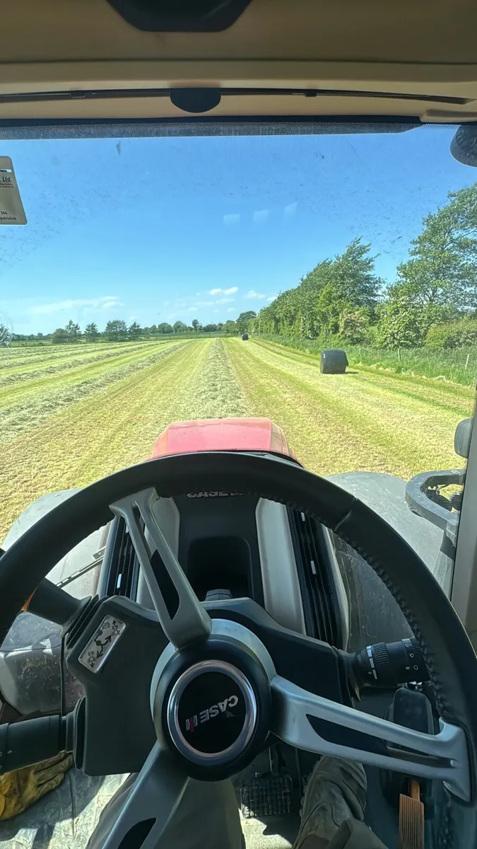 Haylage - Image 1