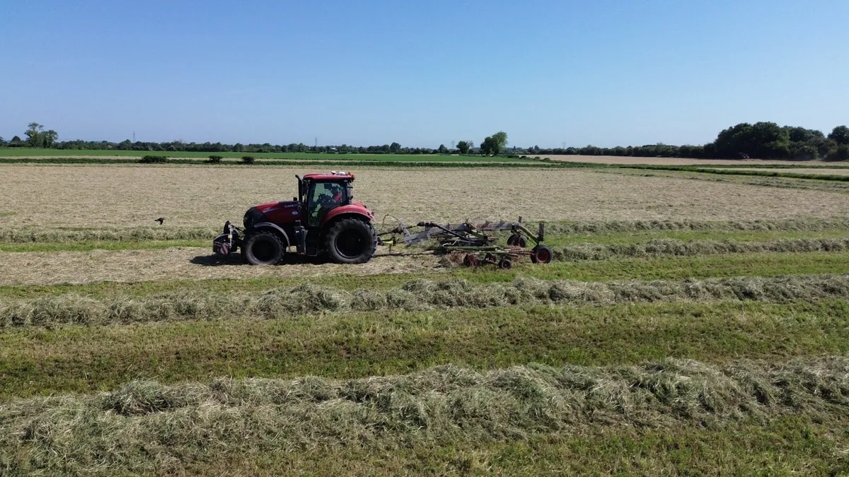 Haylage - Image 2