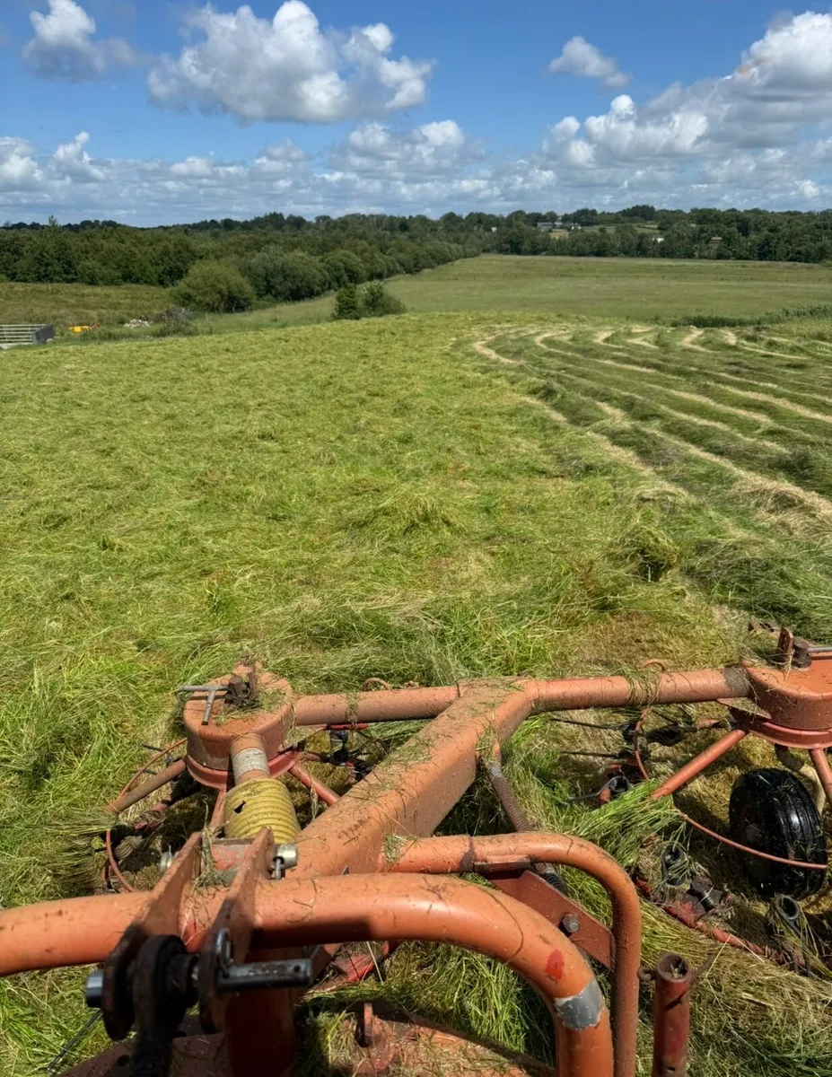 2026 Hay
