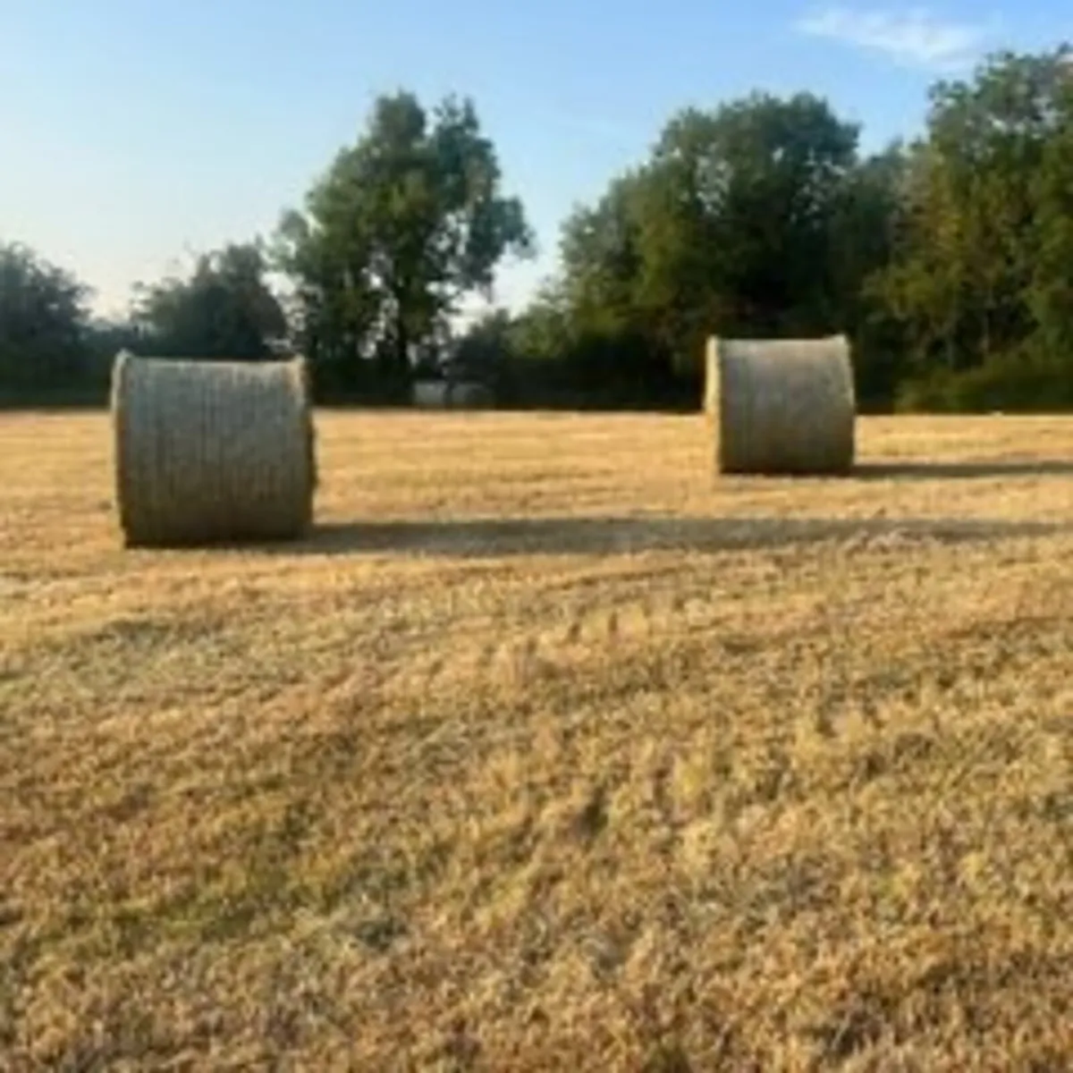 Hay bales (round and square)
