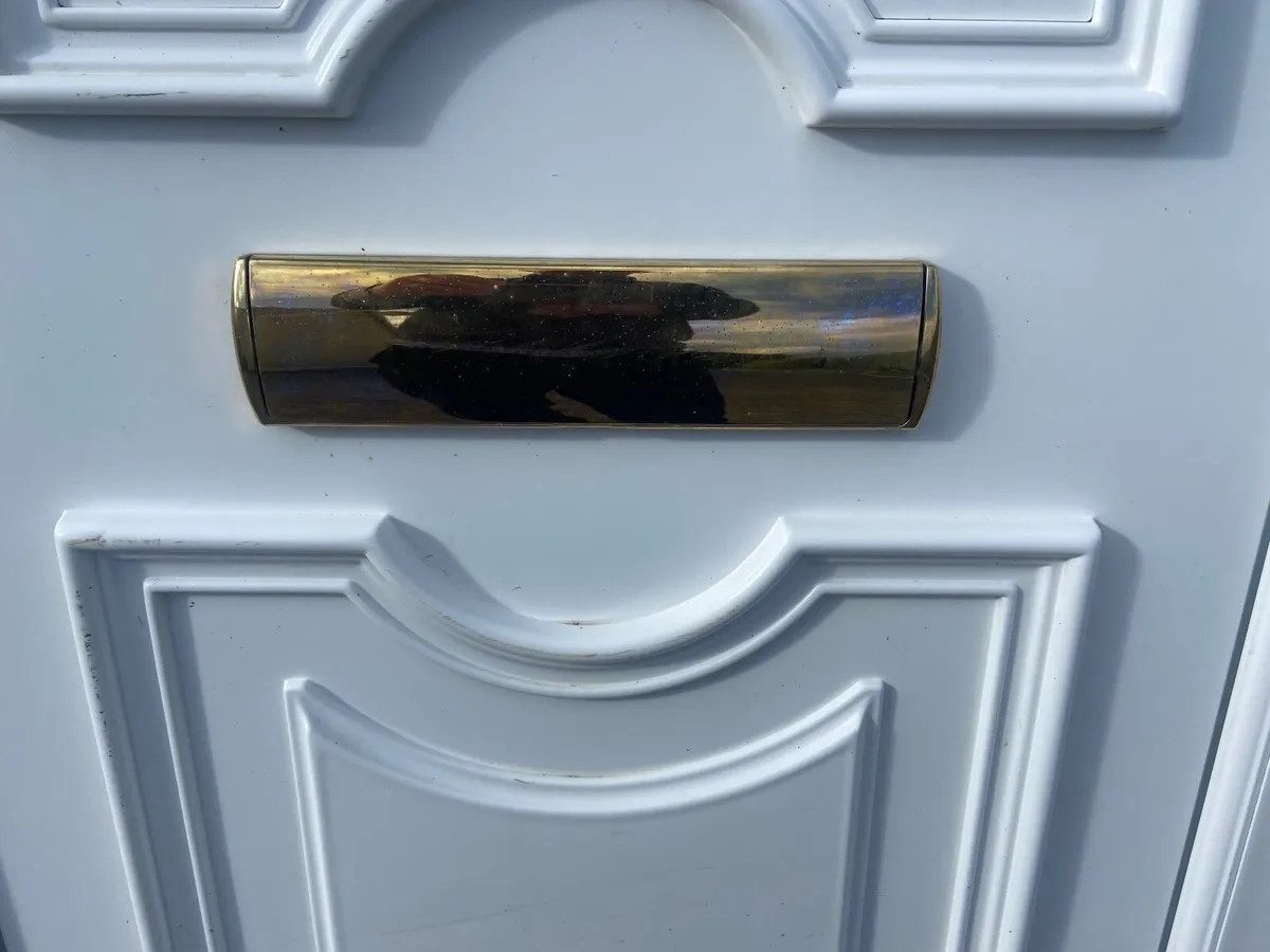 Front Door with frame - Image 2