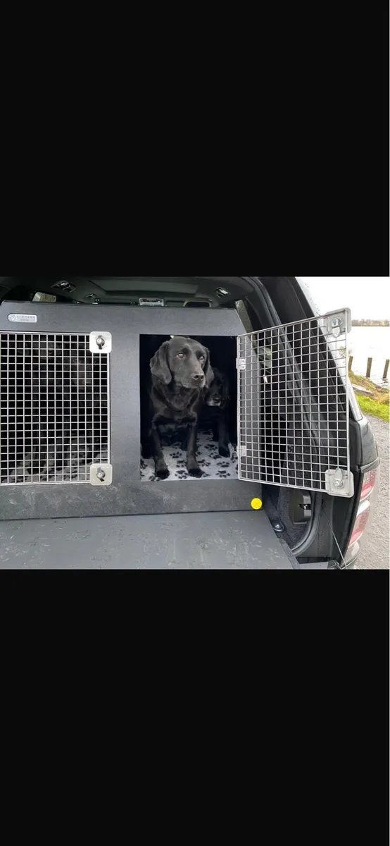 DT Dog Box - Image 3