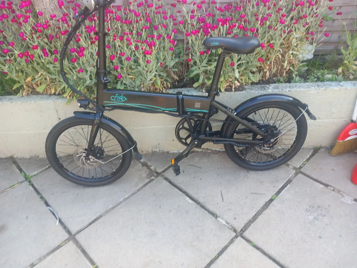 FIIDO D4 Folding Electric Bike - Image 2