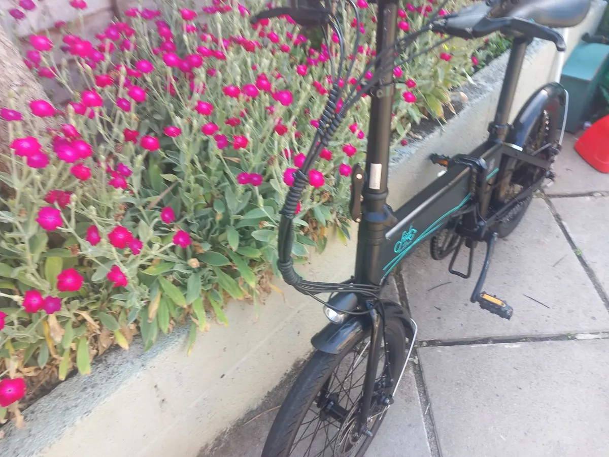 FIIDO D4 Folding Electric Bike - Image 4