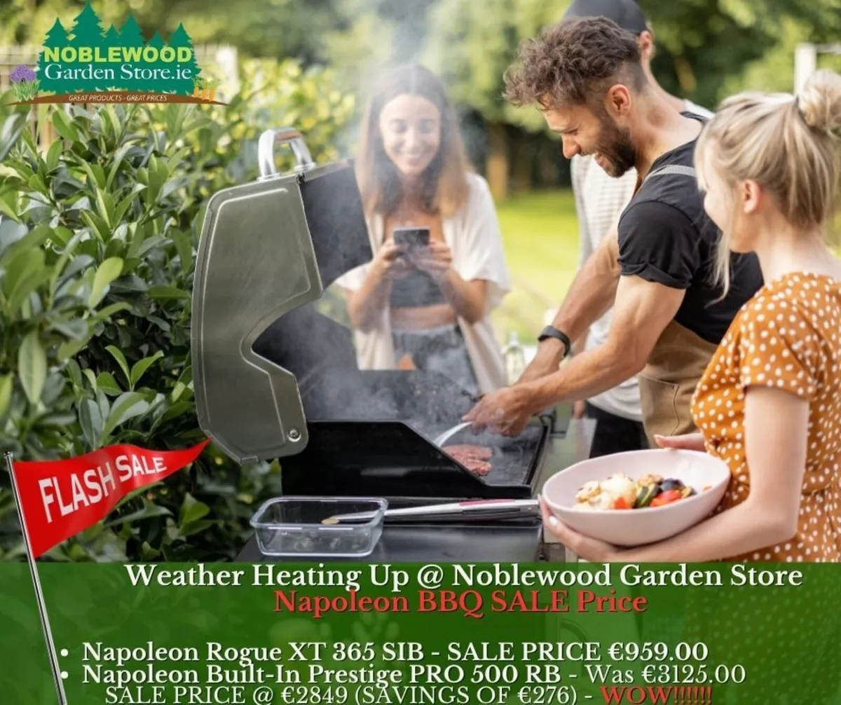 Napoleon Rogue XT 365 SIB BBQ - Flash Sale