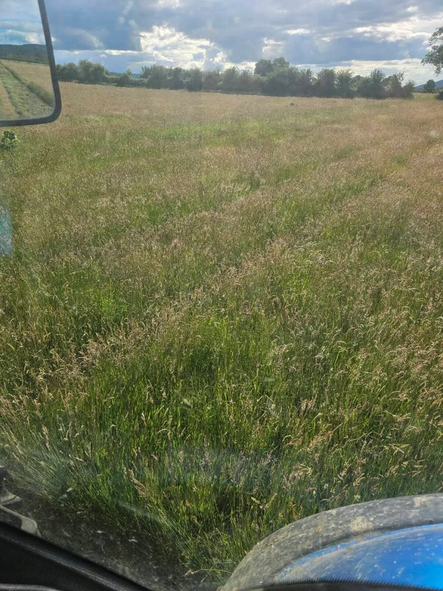 hay & silage - Image 1