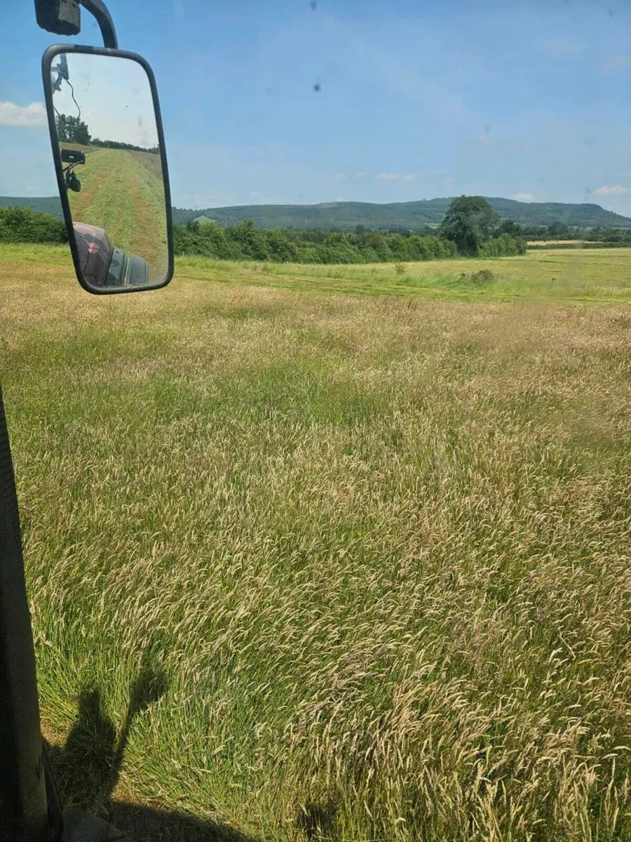 hay & silage - Image 2