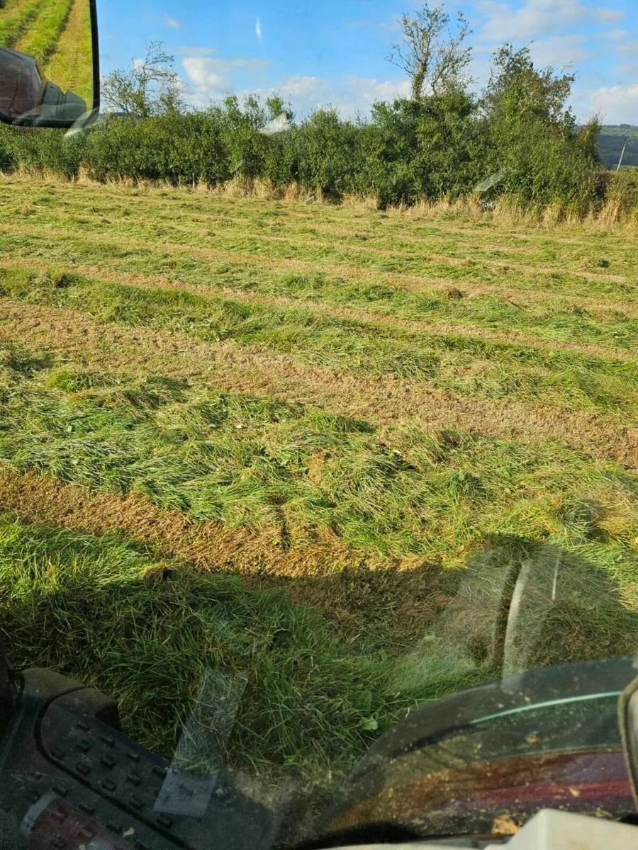 hay & silage - Image 3