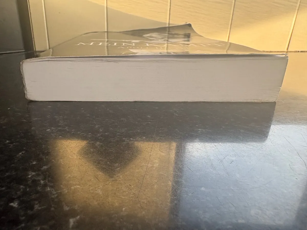 Mein kampf - Image 4