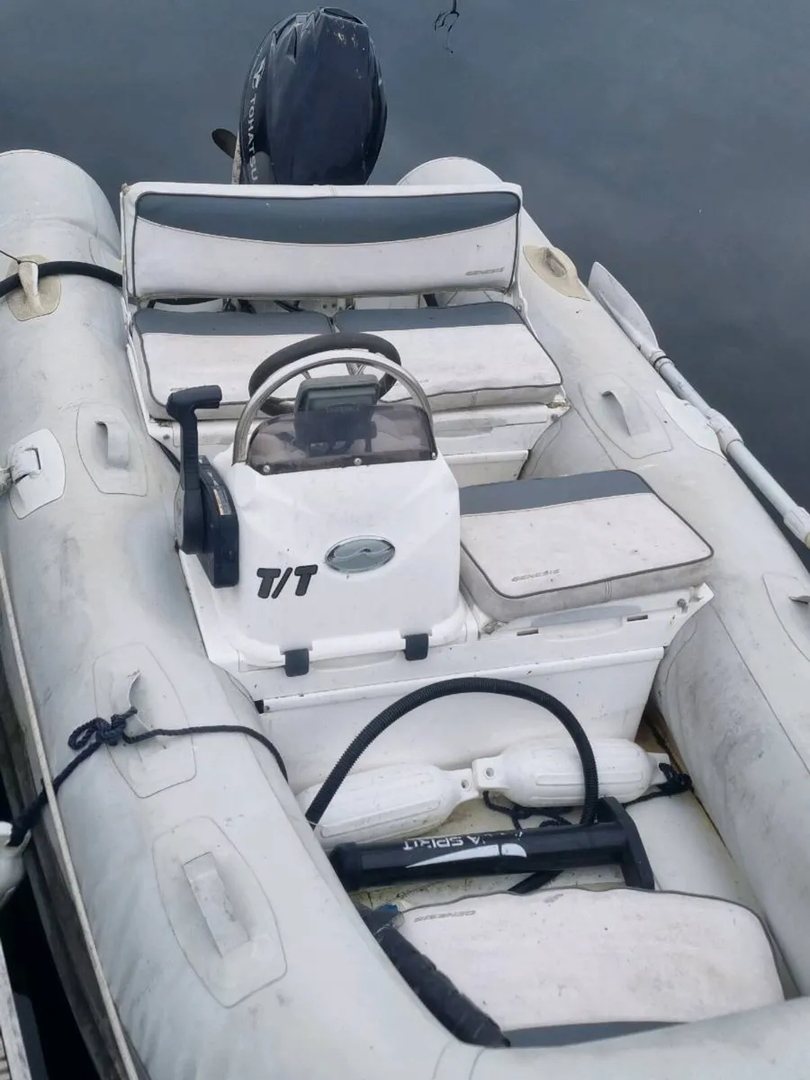 Rib - Image 4