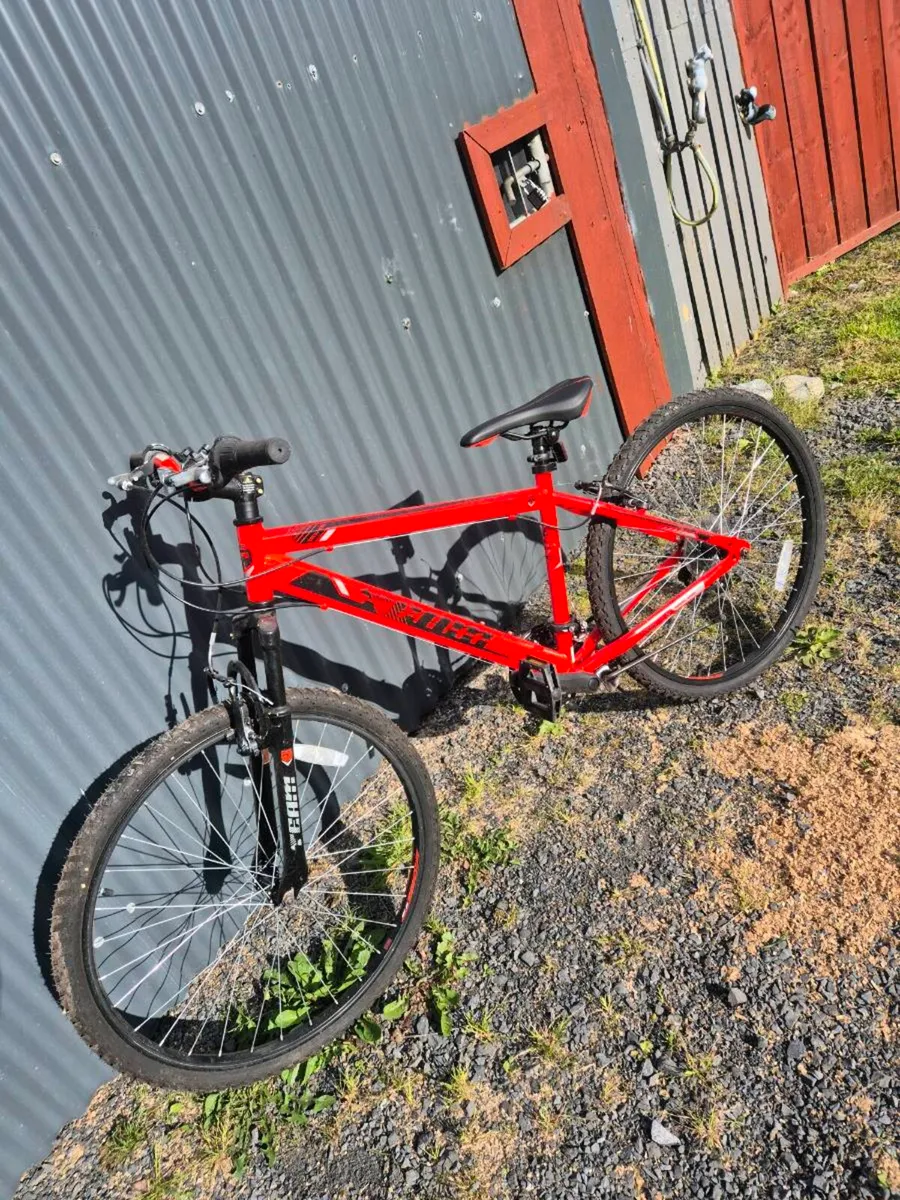 Mountain bike