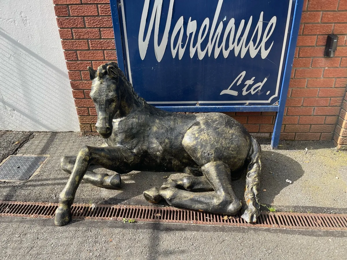 Cast iron life size horse 🐎 - Image 2