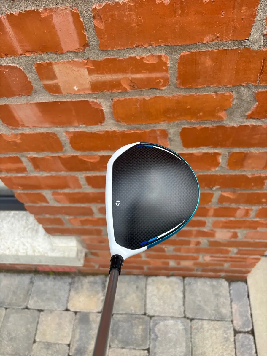 Sim 2 Max driver - Image 2
