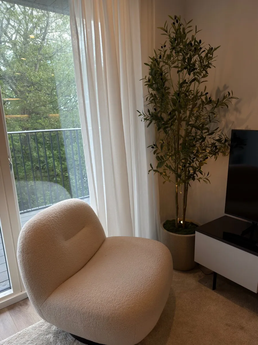 Olive Tree - Image 2