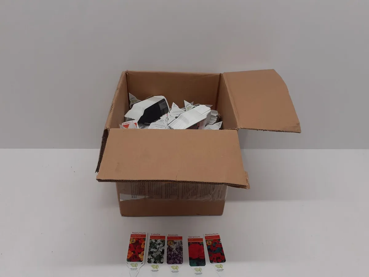 Online June Clearance Auction - Image 2