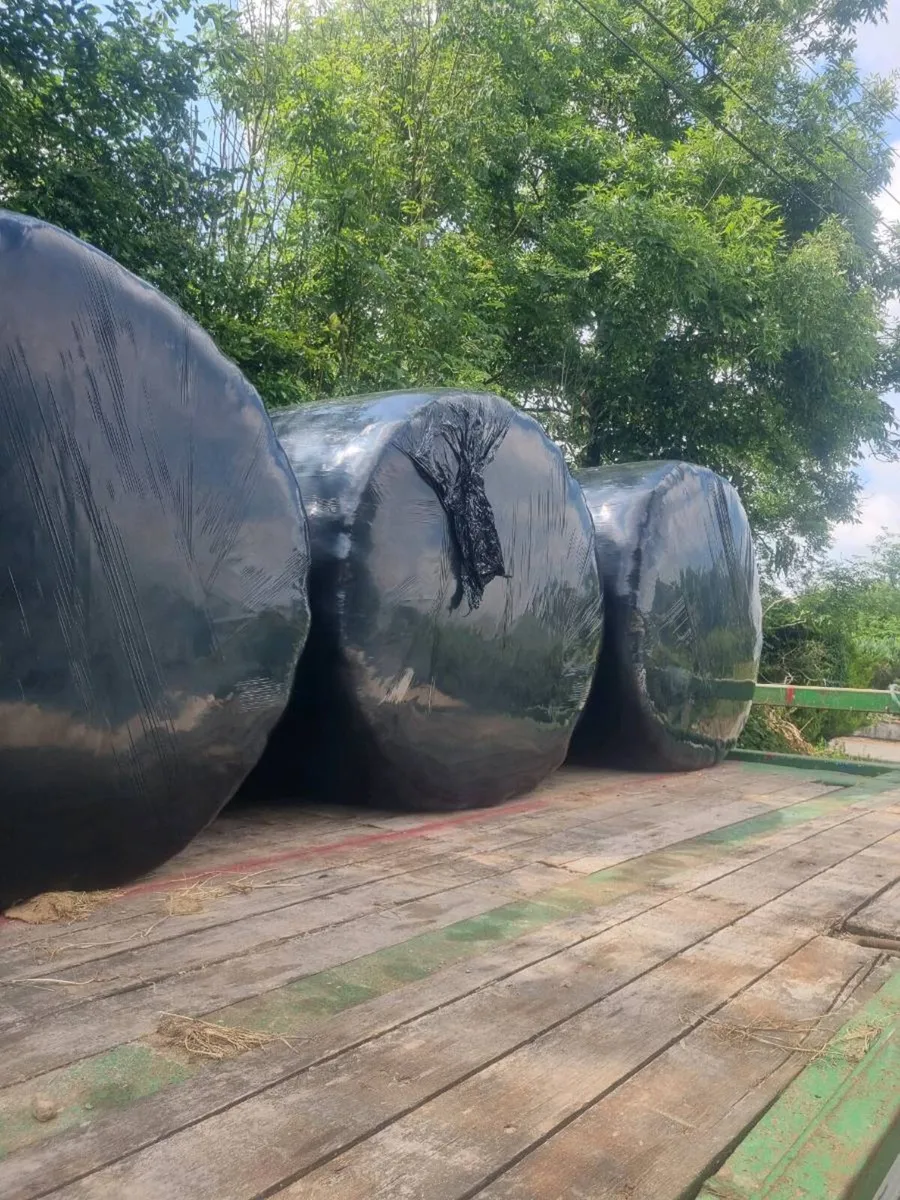 Silage Bales