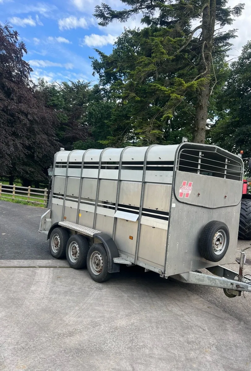 12ft Tri-axle cattle trailer - Image 1