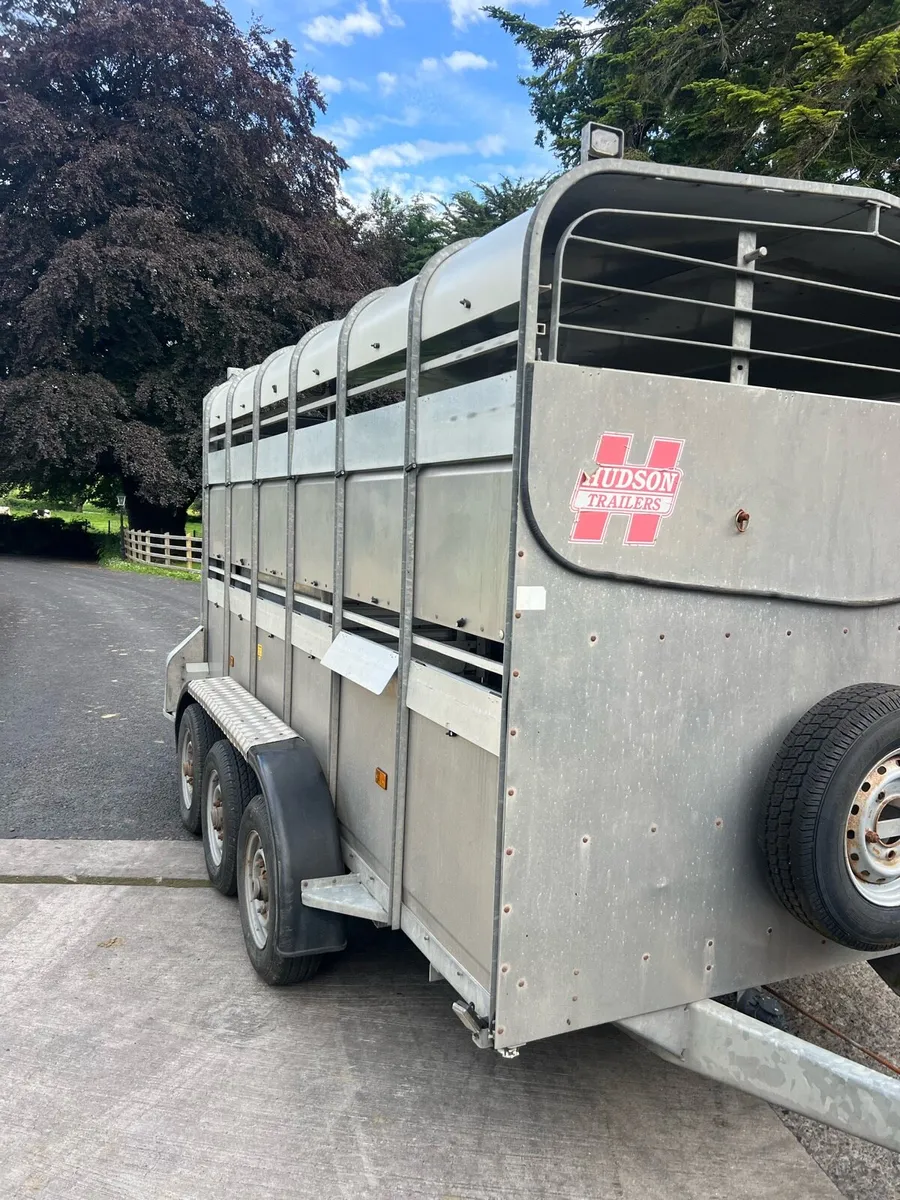 12ft Tri-axle cattle trailer - Image 2