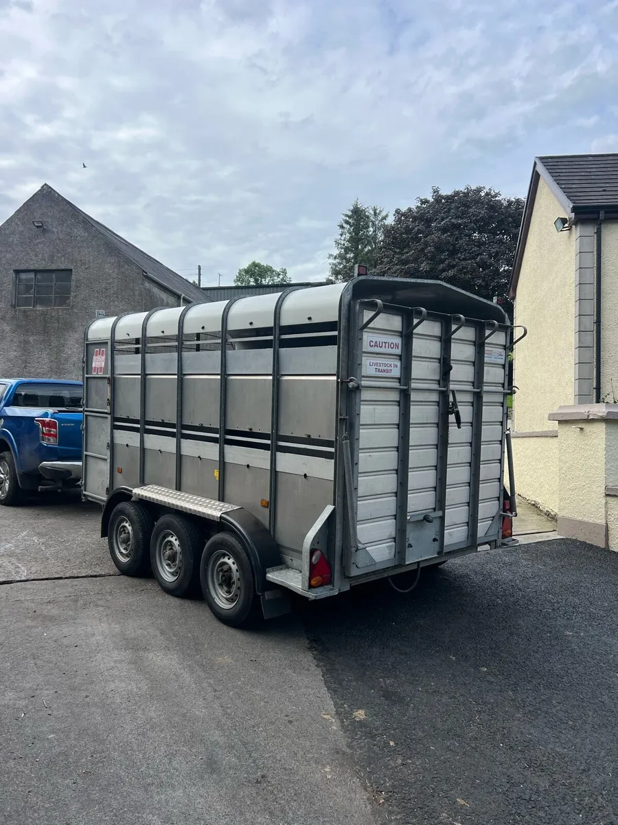 12ft Tri-axle cattle trailer - Image 3