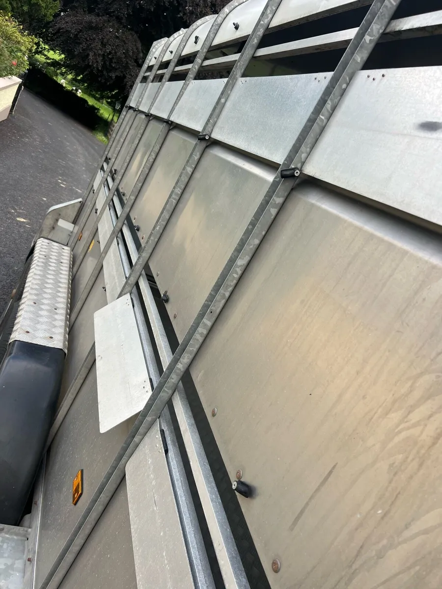 12ft Tri-axle cattle trailer - Image 4