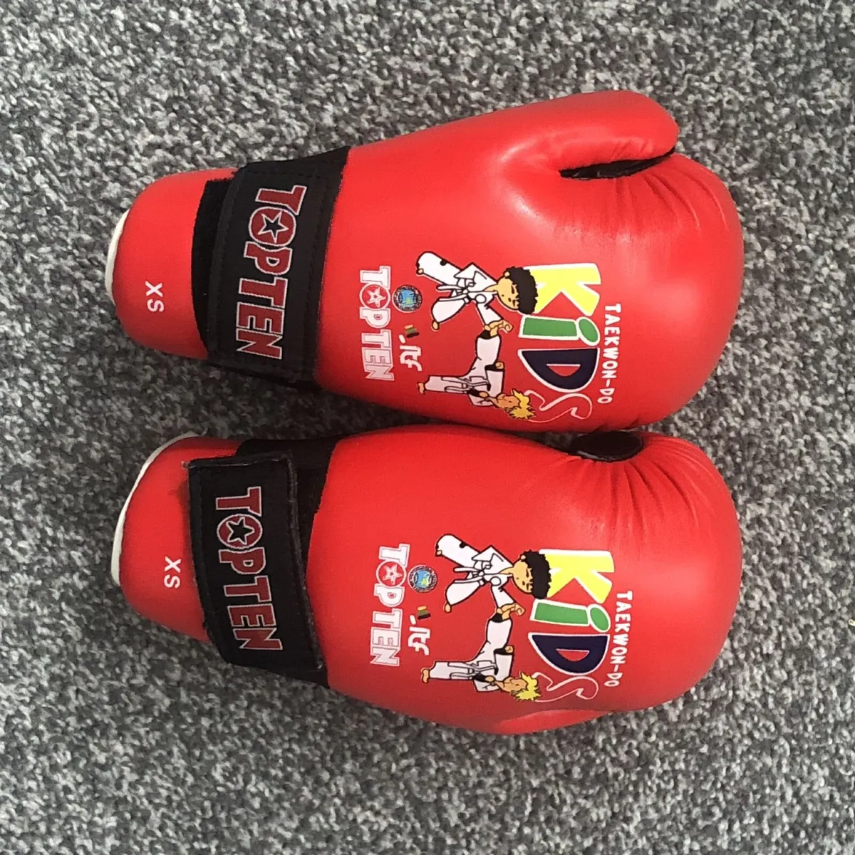 Taekwondo Sparring Gear - Image 2