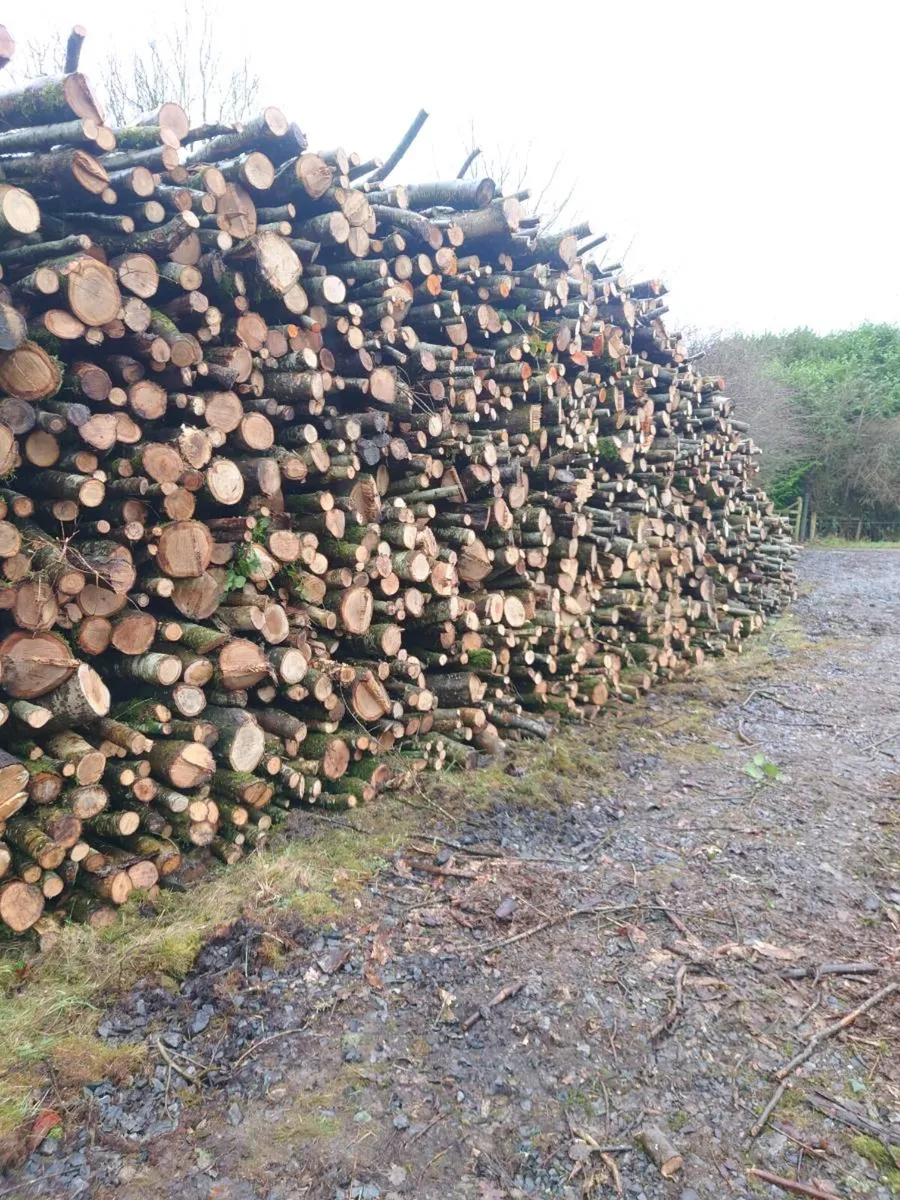 Hardwood thinnings