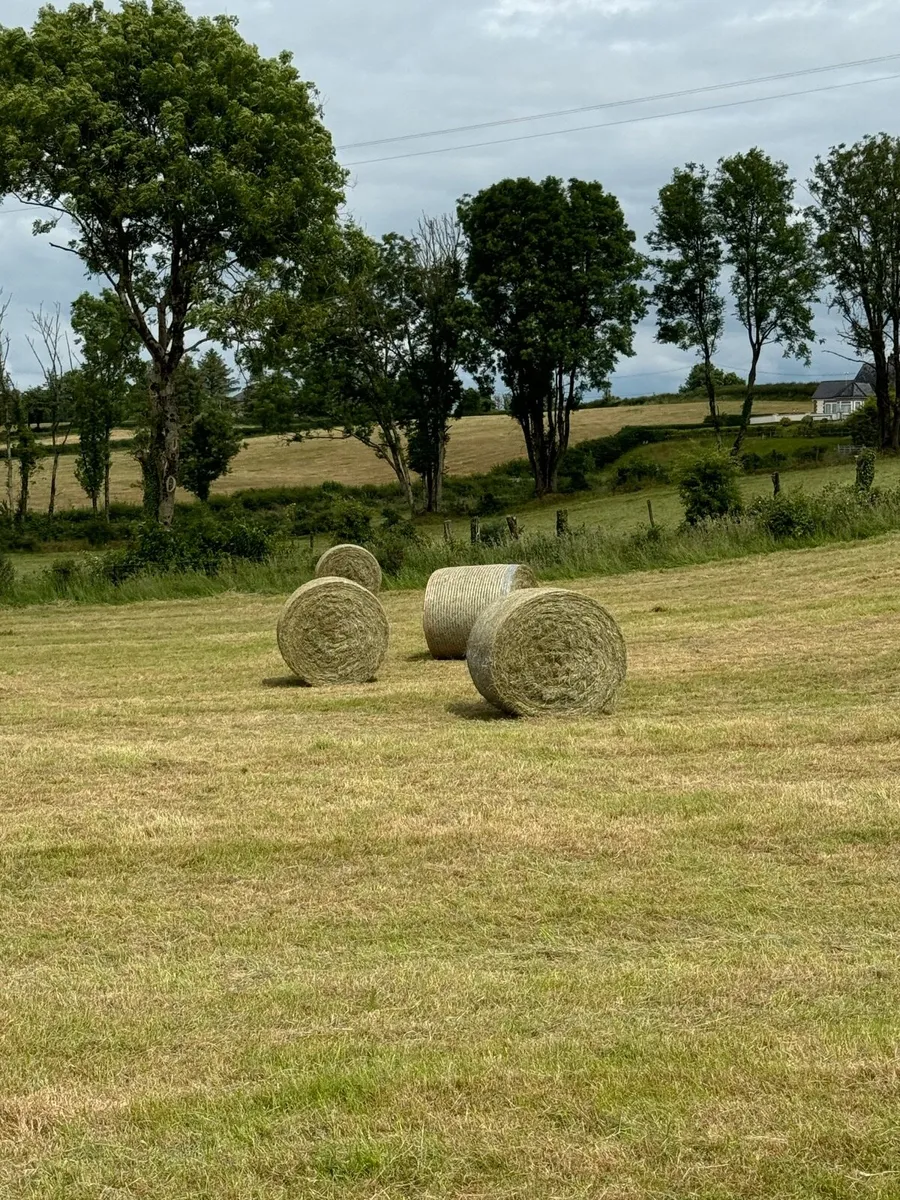Hay for sale - Image 1