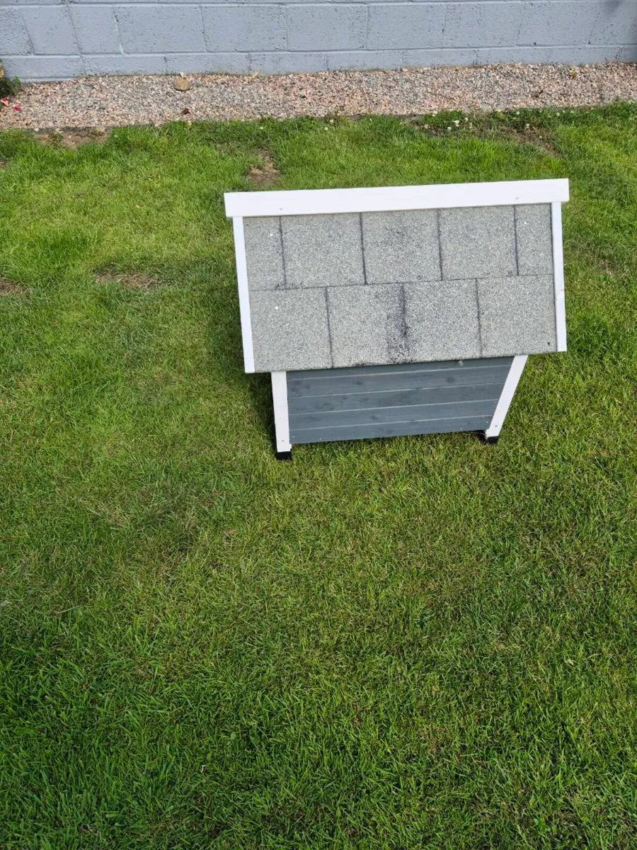 Dog kennel - Image 4