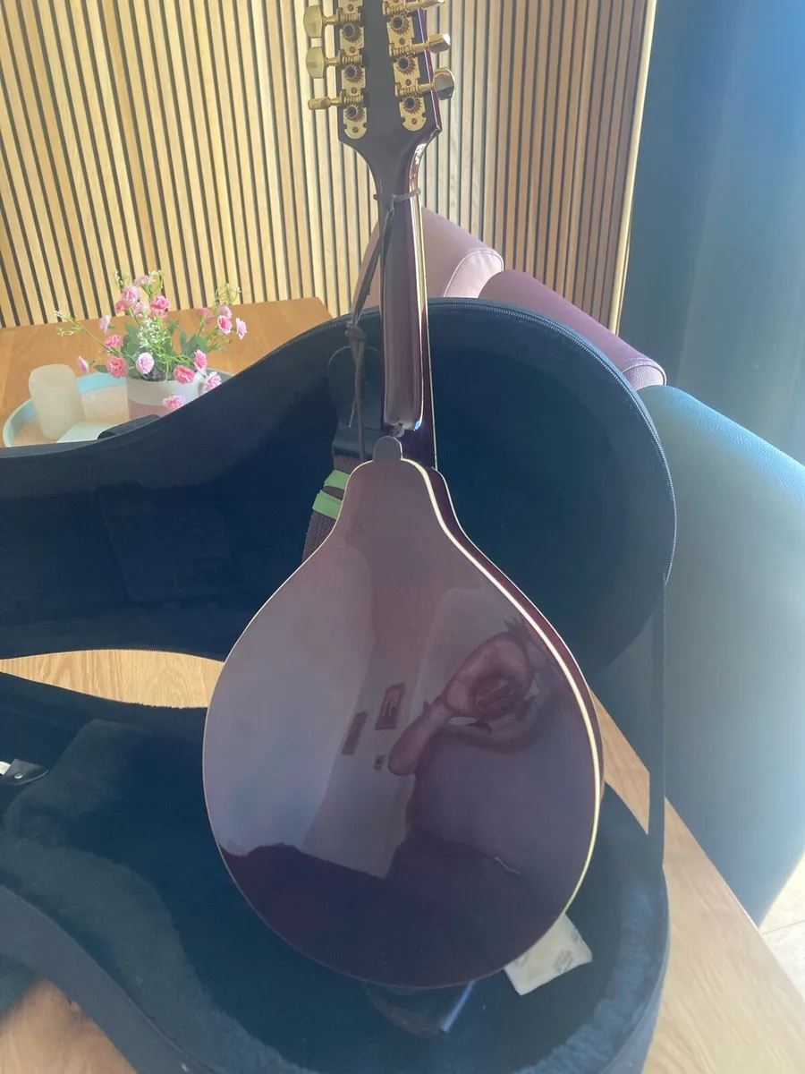 Mandolin - Image 2