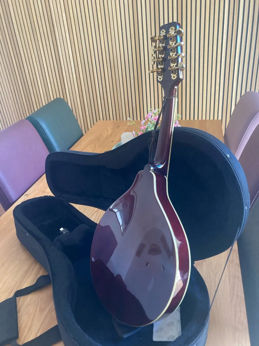 Mandolin - Image 3