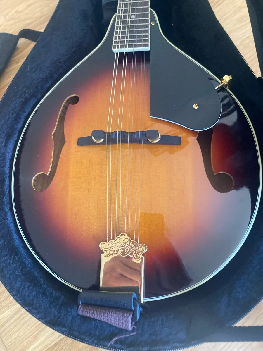 Mandolin - Image 4