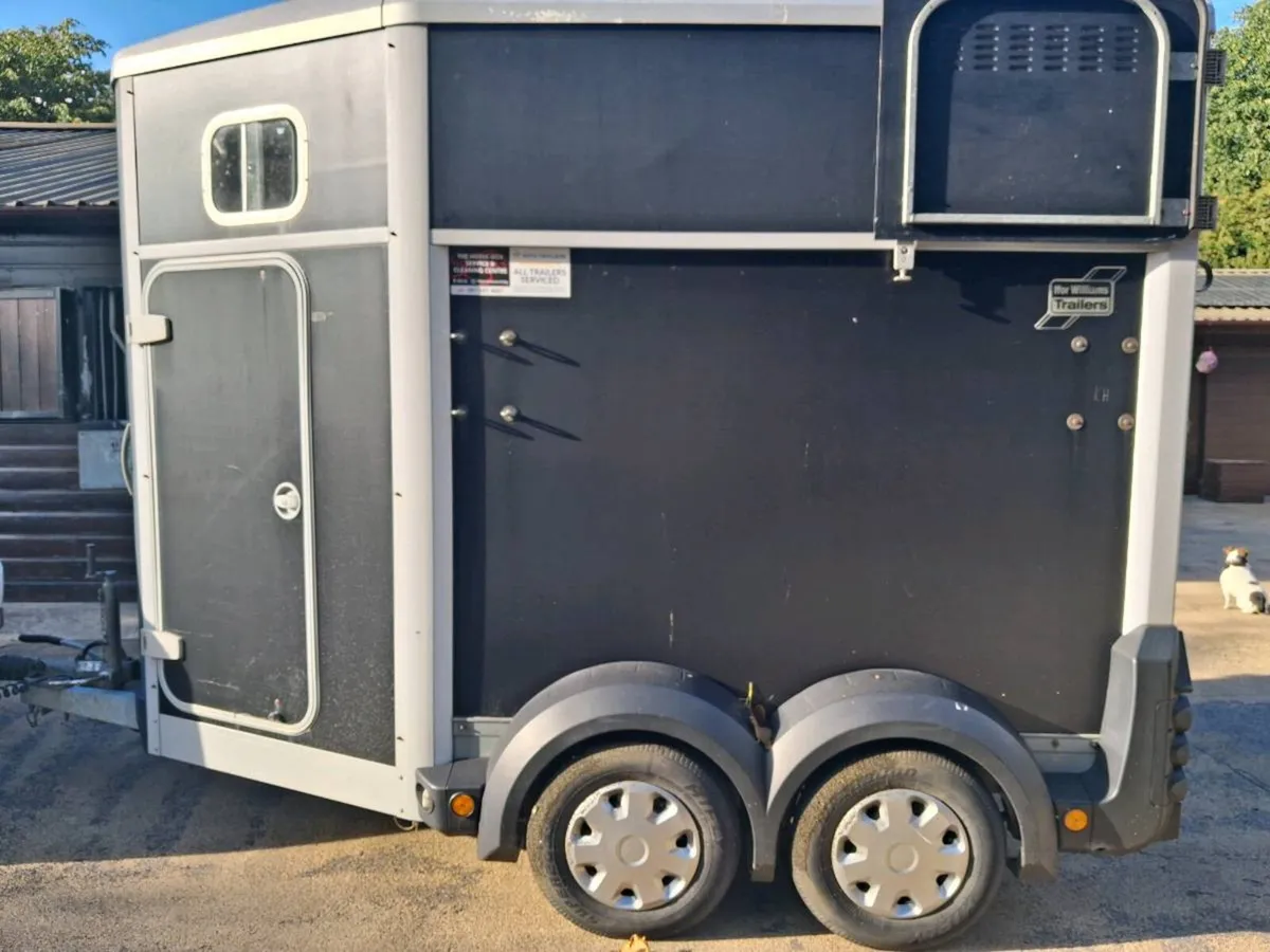 Horse box Ifor williams HB506 - Image 3